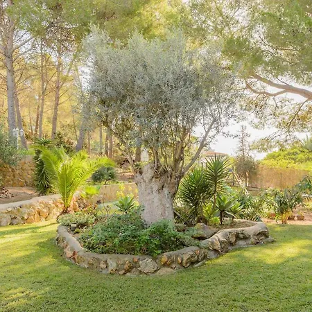 Βίλα Casa Es Puig *